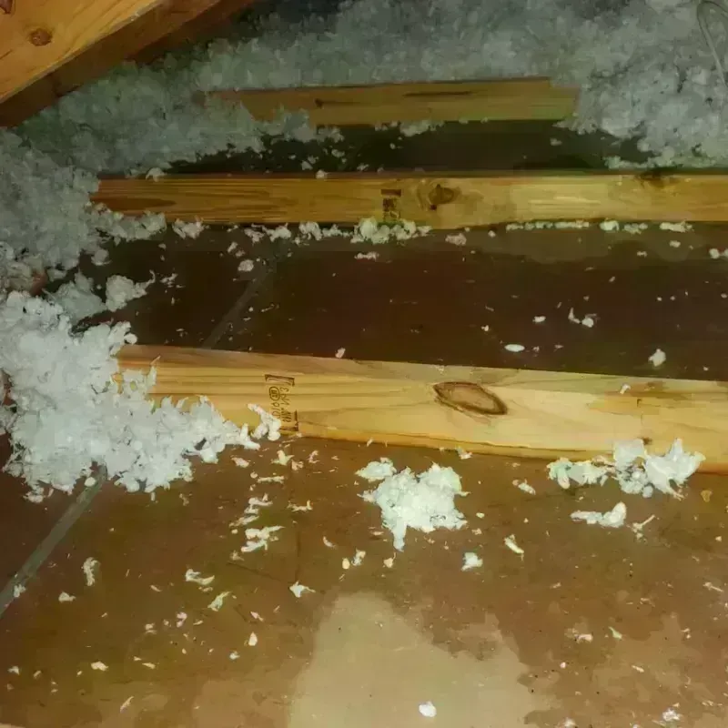 Attic Water Damage in West Odessa, TX