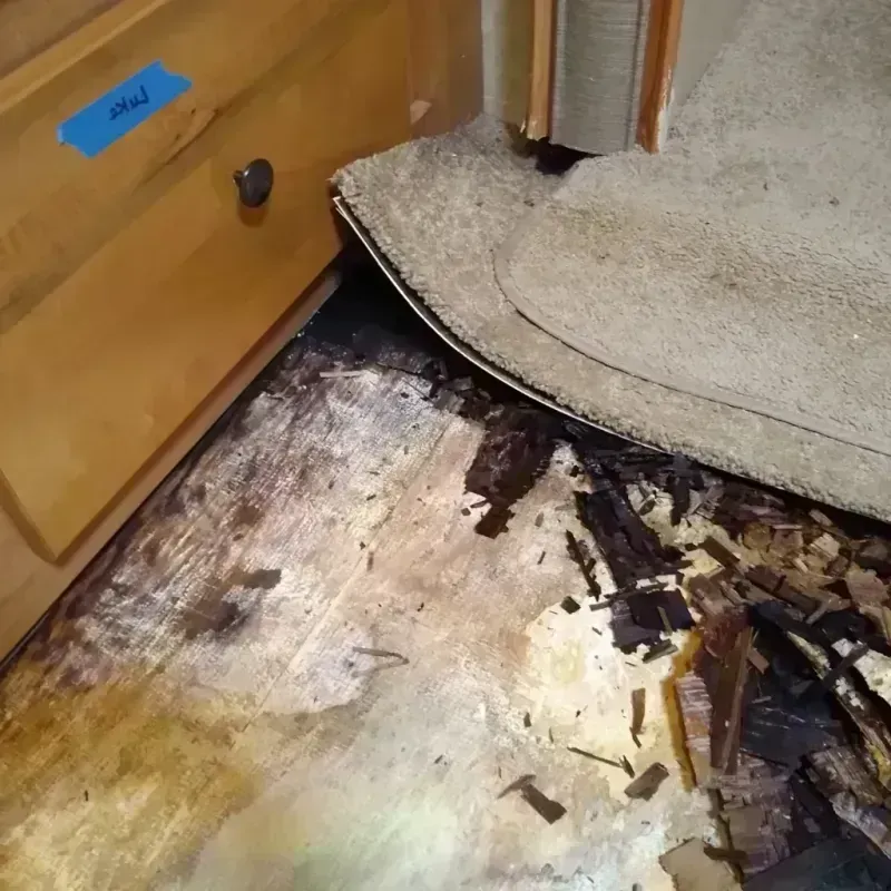 Wood Floor Water Damage in West Odessa, TX